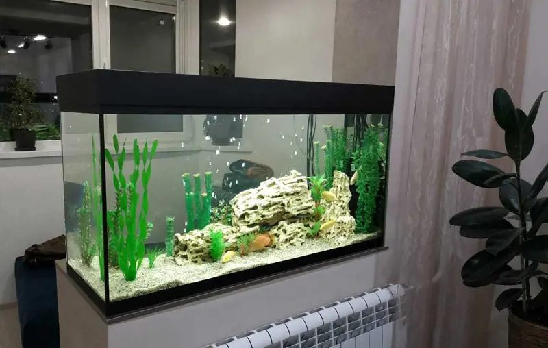 تصویر شماره 1 خدمت 