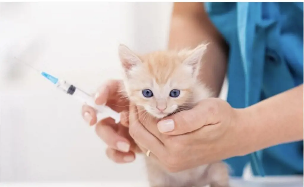 تصویر شماره 1 خدمت 