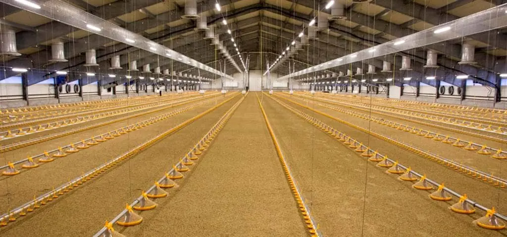 تصویر شماره 2 خدمت 