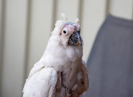 تصویر شماره 1 خدمت 