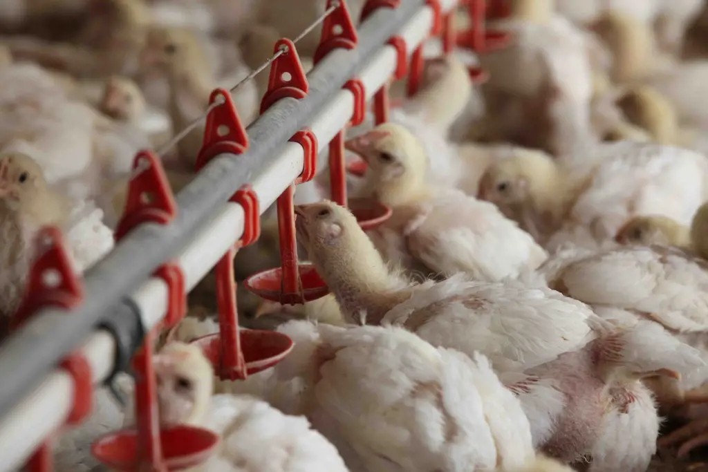 تصویر شماره 1 خدمت 