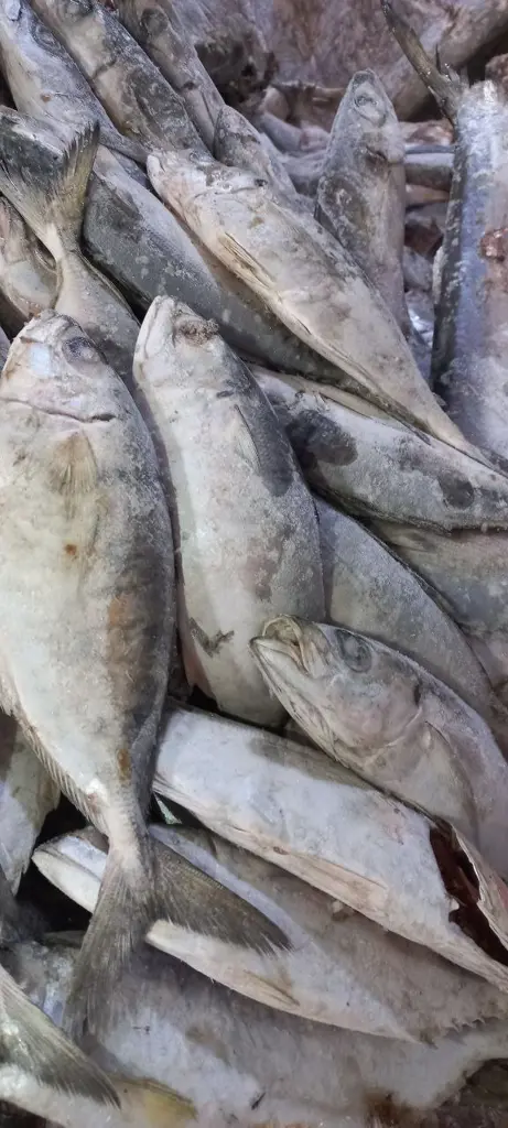 تصویر شماره 2 خدمت 