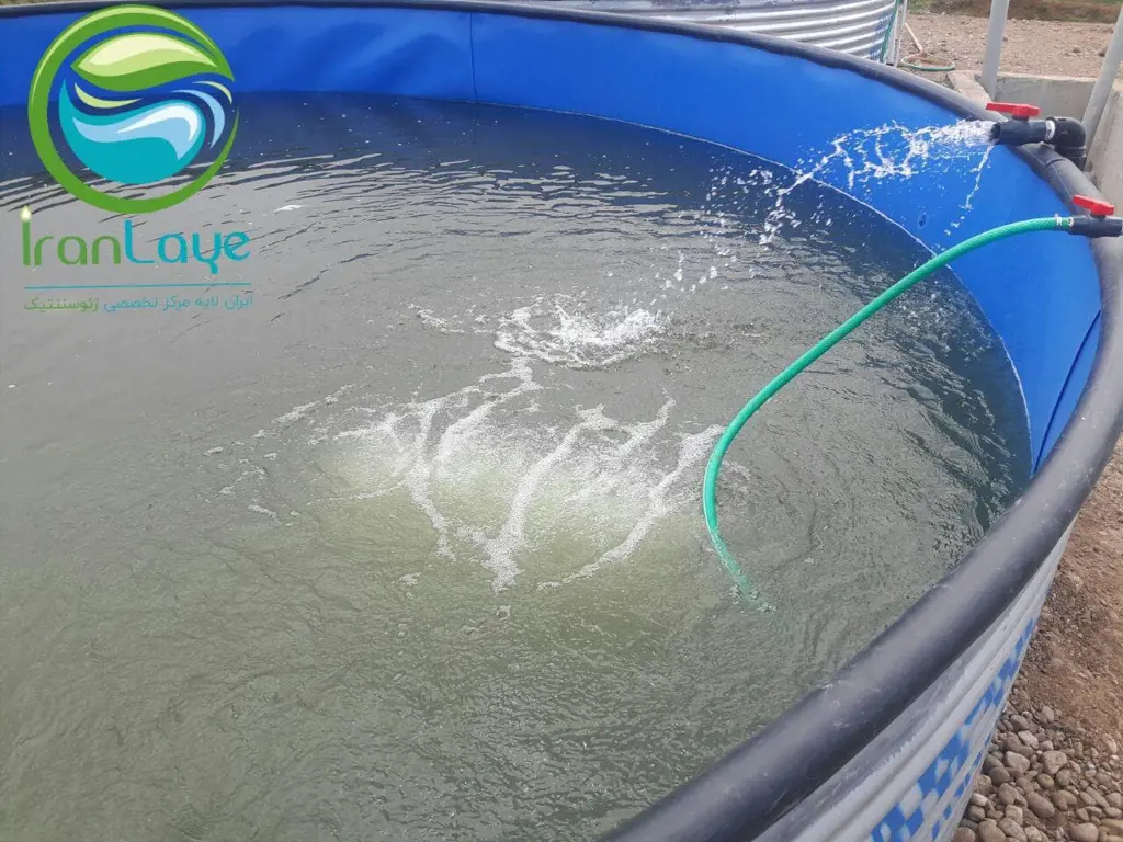 تصویر شماره 4 خدمت 