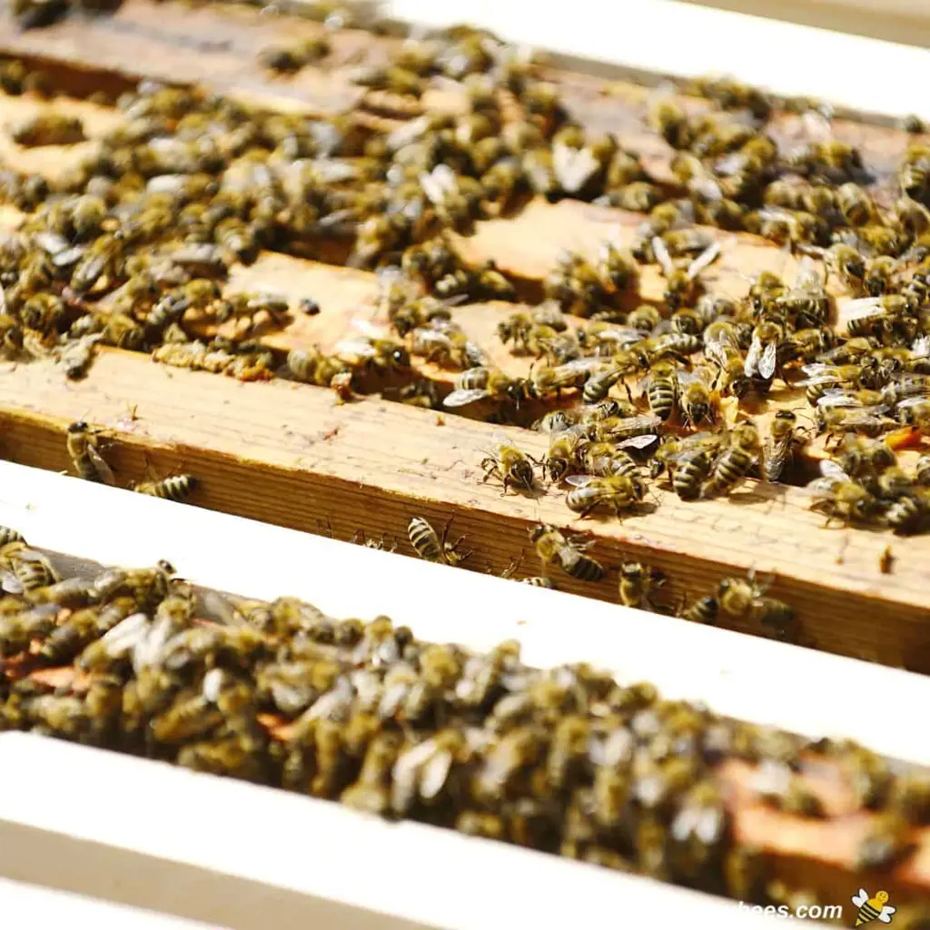 تصویر شماره 1 خدمت 