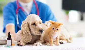 تصویر شماره 1 خدمت 