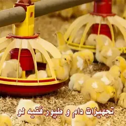 تجهیزات مرغداری دام و طیور فقیه لو