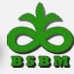 بهین صنعت بذر ماندگار