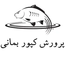 پرورش کپور بمانی