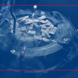 خدمات تولید مثلی دام