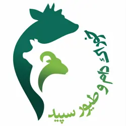 خوراک دام و طیور سپید