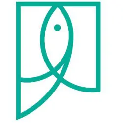 فروشگاه فایتر باز