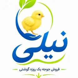 جوجه یک روزه گوشتی نیلی