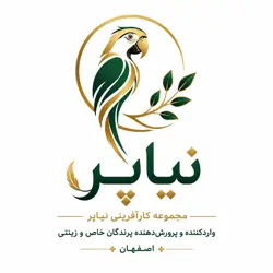 نیاپر