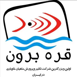 قره برون