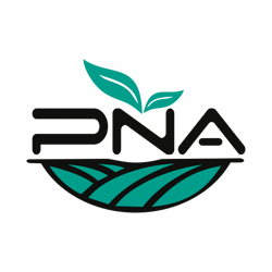 پیشگامان نوید آرتیمان pna