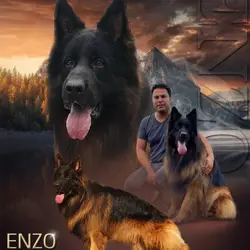 باشگاه پرورش سگ کرایان کنل