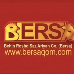 بازرگانی برسا