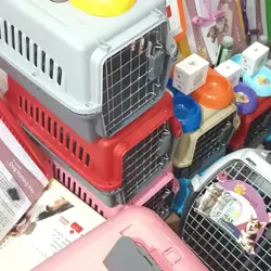 پت شاپ کرجی