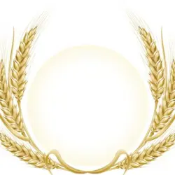 خوراک دام و طیور سروری