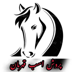 پرورش اسب قهرمان