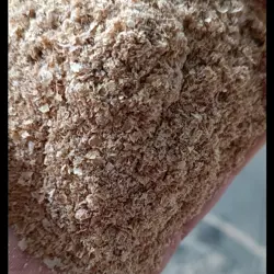 خوراک دام طاهر