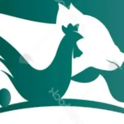 مشاوره تغذیه طیور و مدیریت فارم