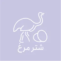 مجتمع پرورش شتر مرغ توسلی