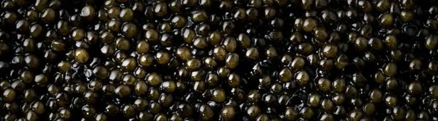 خاویار منصوری