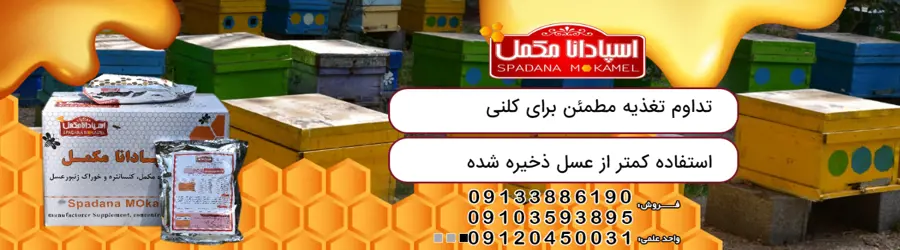 اسپادانامکمل
