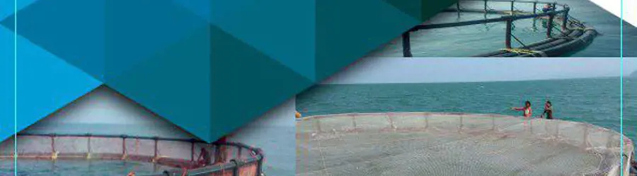 شرکت موج تهران