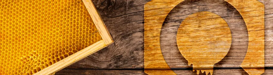 فروشگاه ملزومات زنبورداری نیکو