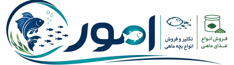 محصولات ماهی امور
