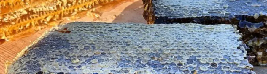 عسل فروشی ساوالان