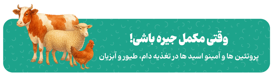 آمیناژ