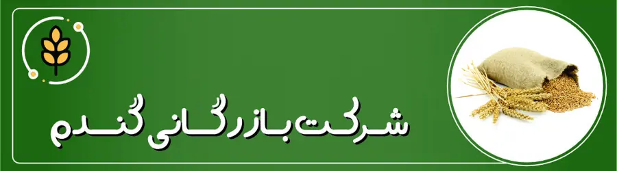 شرکت گندم
