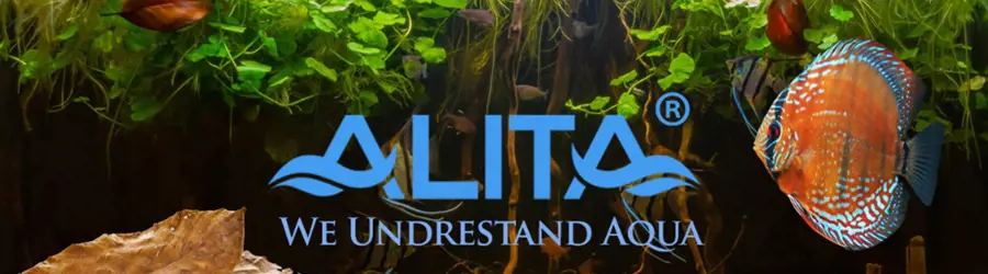 شرکت دانش بنیان آلیتا