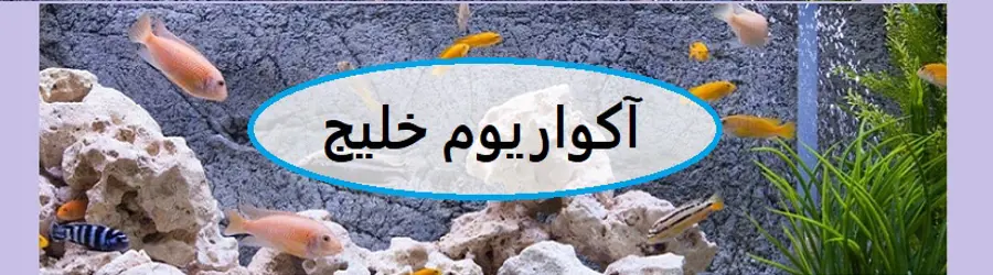 آکواریوم خلیج