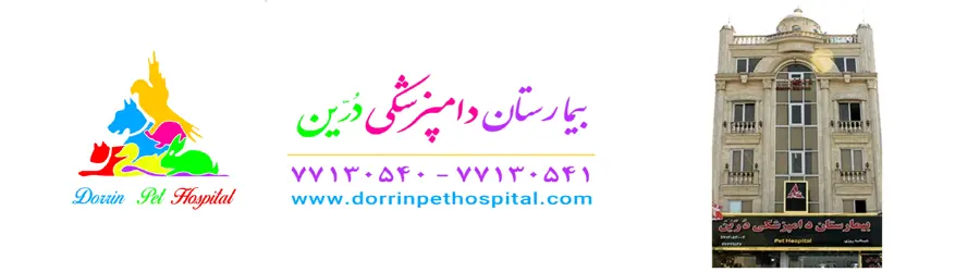 بیمارستان دامپزشکی  و پت شاپ شبانه روزی درین