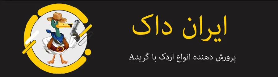 ایران داک