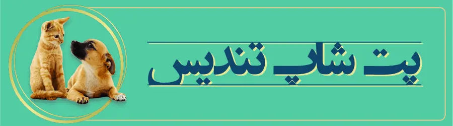 تندیس پت شاپ