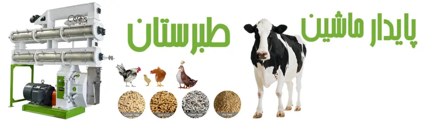 پایدار ماشین طبرستان