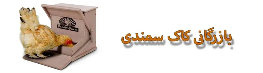 بازرگانی کاک سمندی