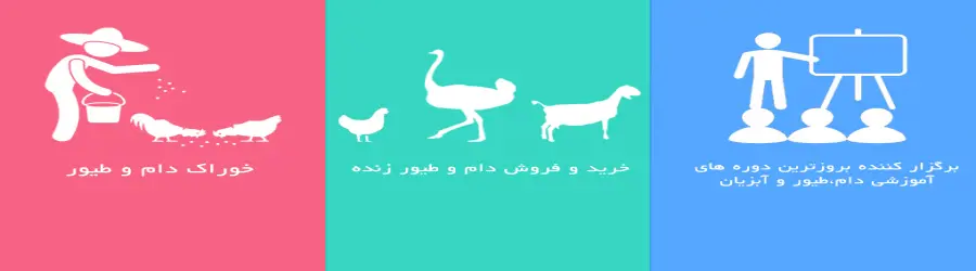 شرکت فرادام زرین خاورمیانه