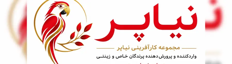 نیاپر