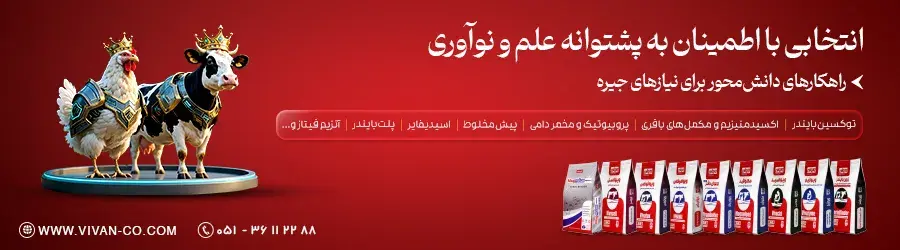 ویوان
