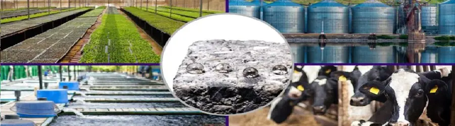 مارال پوشش نانو