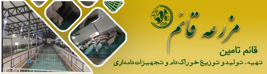 تهیه، تولید و توزیع  خوراک دام و تجهیزات دامداری