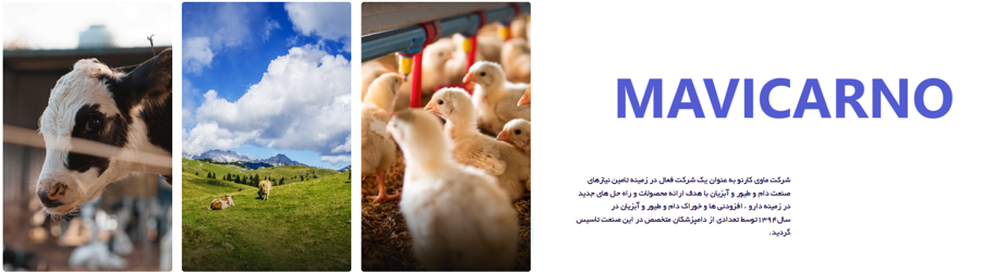 شرکت ماوی کارنو