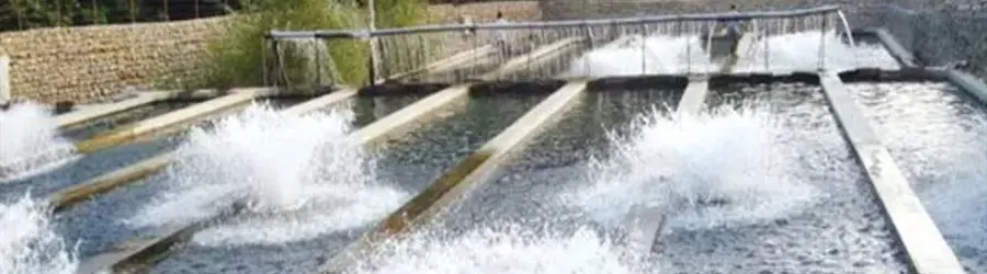 استخر ماهی باباگلی