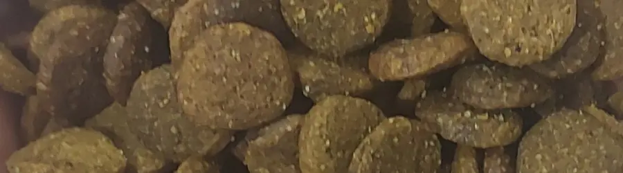 پت شاپ گارفیلد